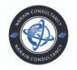 narainconsultans.com